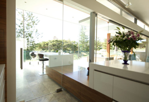 Frameless Glass Entry Pivot Door